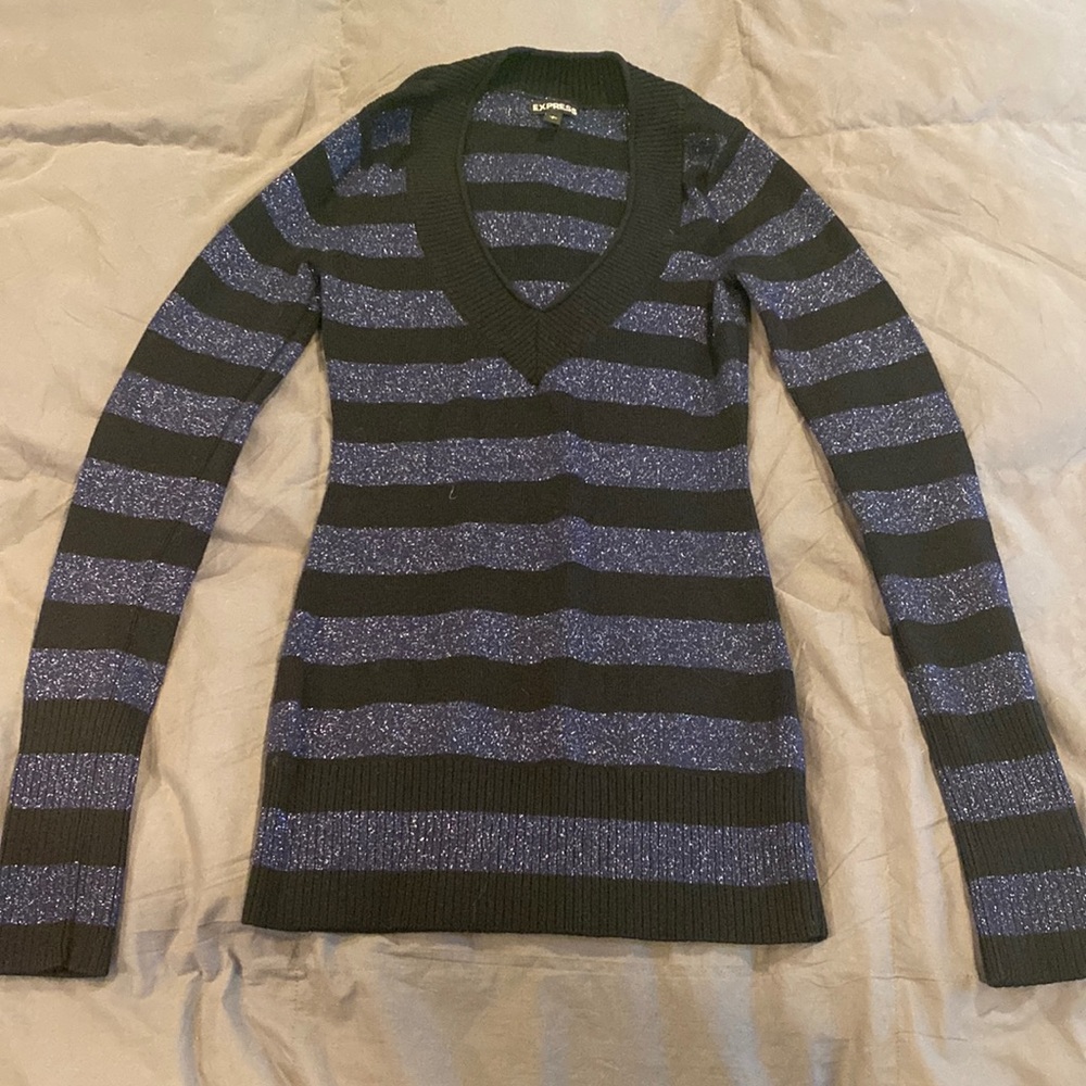 Express long sleeve V-Neck sweater